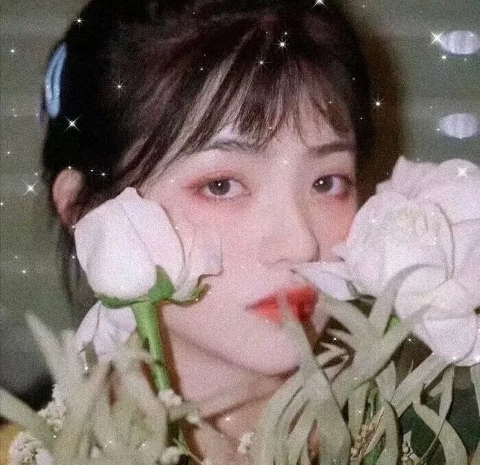 龙虎干戈